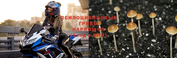 дурь Белокуриха