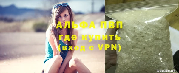 дживик Богородск