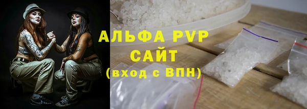 молекула духа Богданович