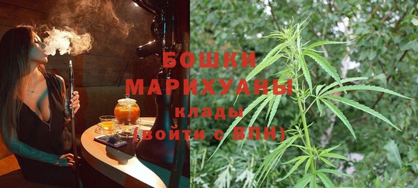 молекула духа Богданович