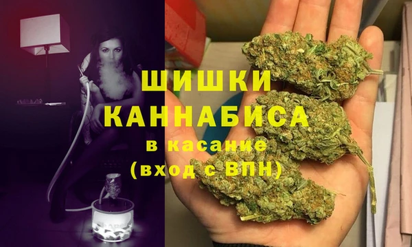 молекула духа Богданович