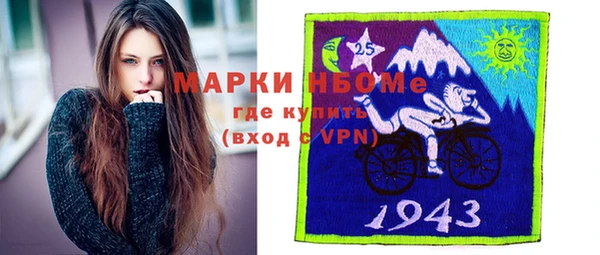 молекула духа Богданович