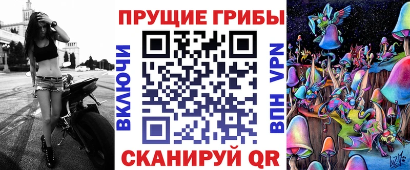 Галлюциногенные грибы GOLDEN TEACHER  как найти закладки  Свободный 